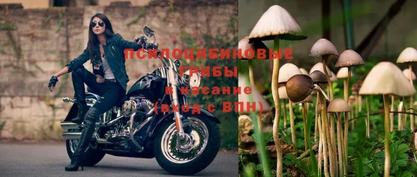 экстази Богородицк