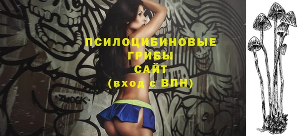 экстази Богородицк